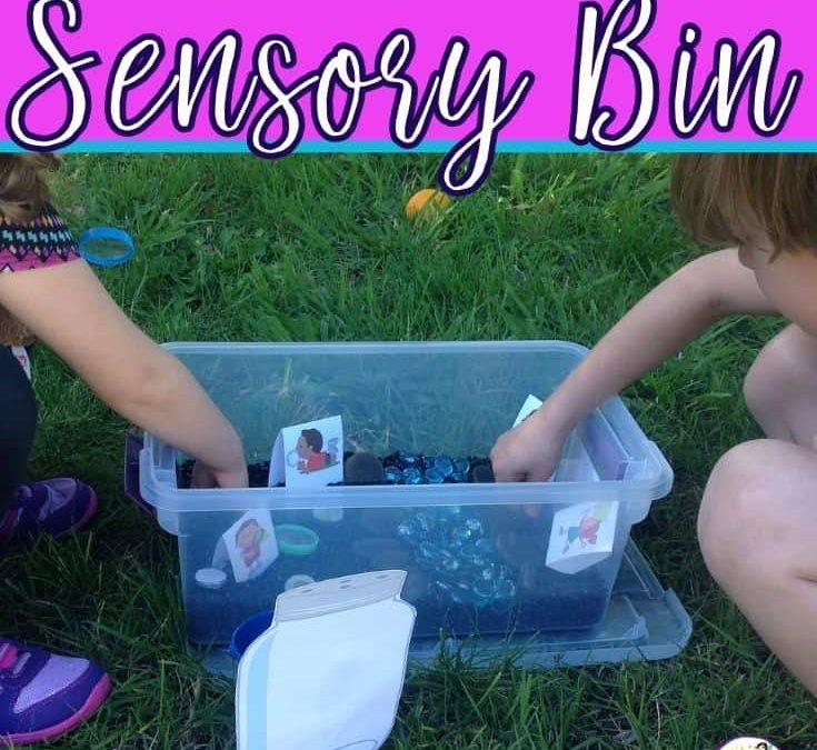 insectsensorybinspeechtherapypin1 thedabblingspeechie