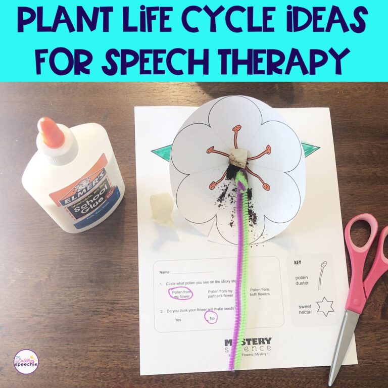 Plant life cycle activities for preschool and older students.