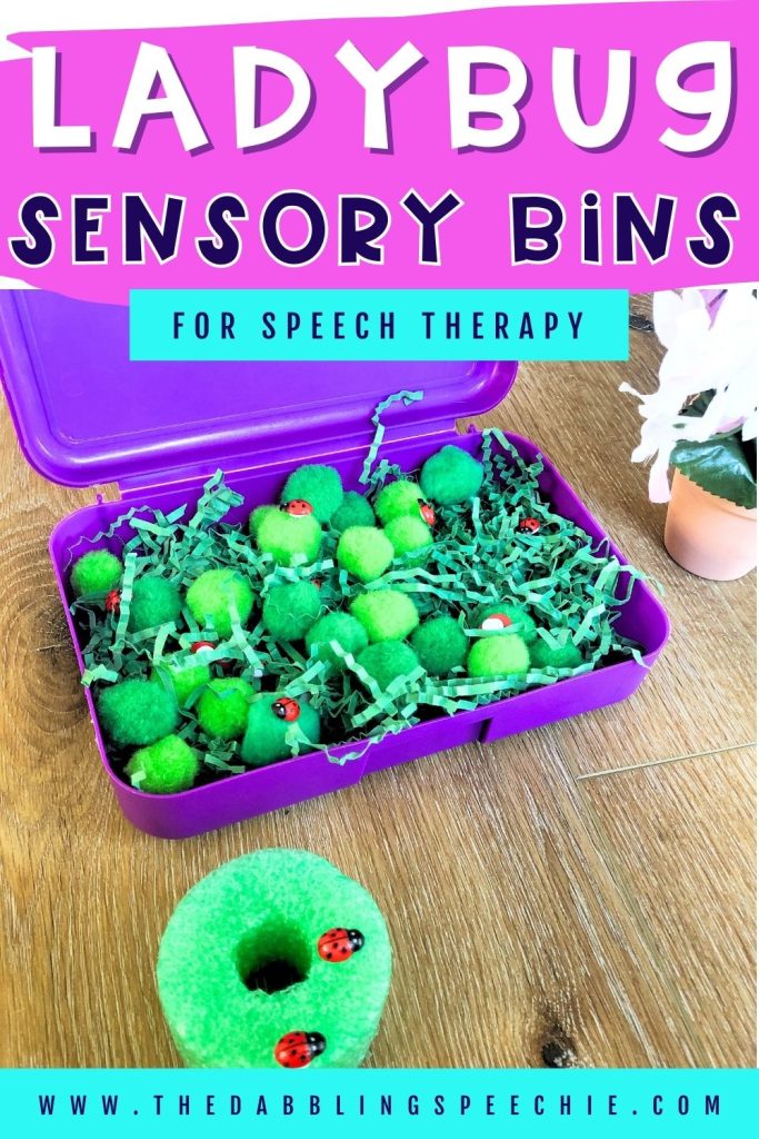 ladybug-sensory-bin-speech-therapy