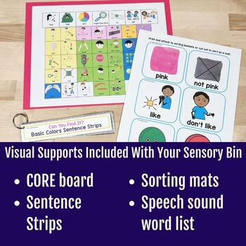 Learn Color Pink Sensory Bin Preschool Speech Therapy Valentine's Day Activity - Image 3